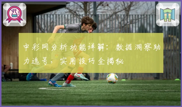 中彩网分析功能详解：数据洞察助力选号，实用技巧全揭秘