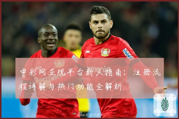 中彩网正规平台新人指南：注册流程详解与热门功能全解析
