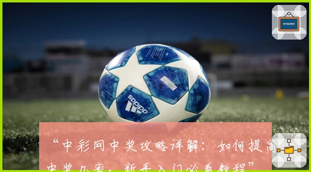“中彩网中奖攻略详解:如何提高中奖几率,新手入门必看教程”