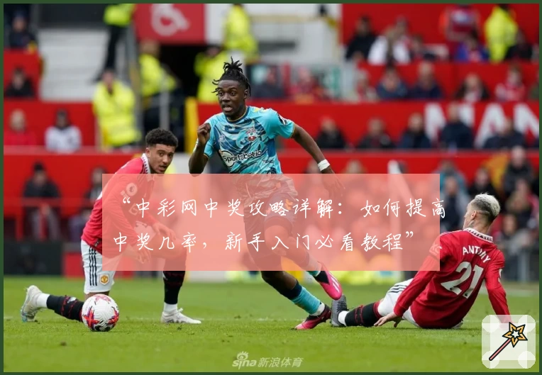 “中彩网中奖攻略详解:如何提高中奖几率,新手入门必看教程”