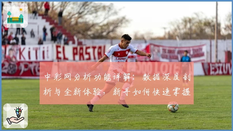 中彩网分析功能详解：数据深度剖析与全新体验，新手如何快速掌握基础操作