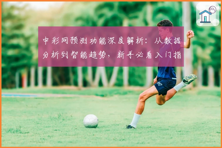 中彩网预测功能深度解析：从数据分析到智能趋势，新手必看入门指南