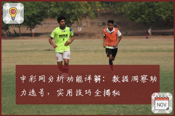 中彩网分析功能详解：数据洞察助力选号，实用技巧全揭秘