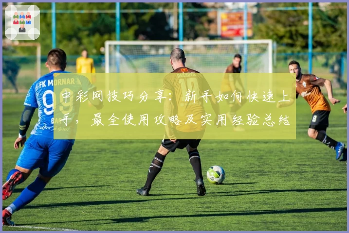 中彩网技巧分享：新手如何快速上手，最全使用攻略及实用经验总结
